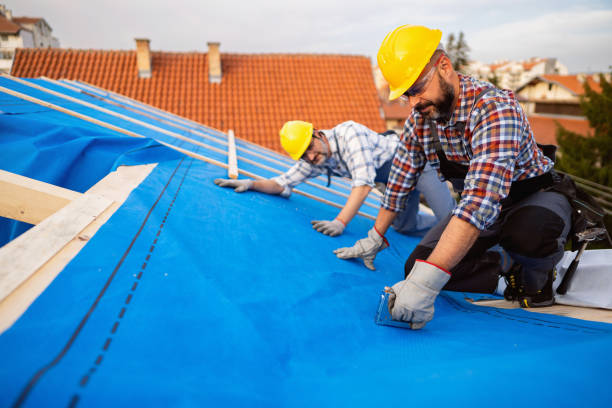 Best Roof Insulation Installation  in Fontana, CA
