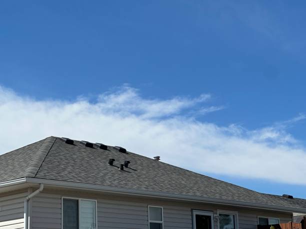 Best Skylight Installation and Repair  in Fontana, CA